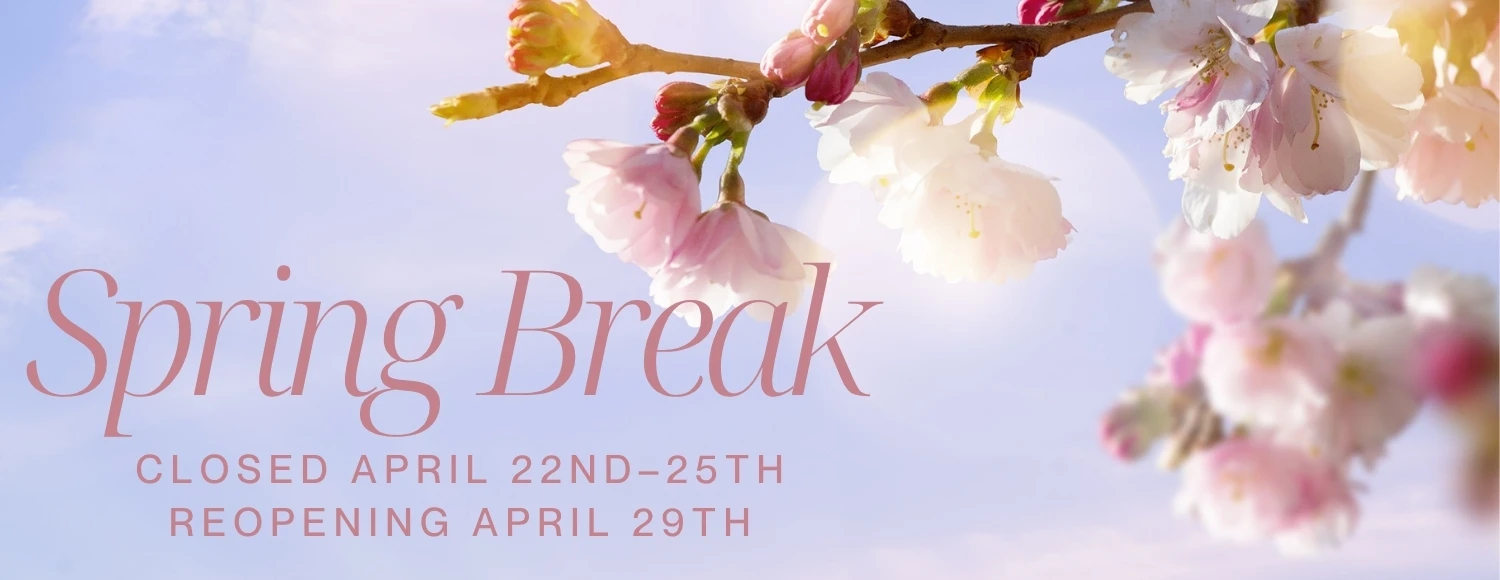 Steve's Custom Jewelers Spring Hours